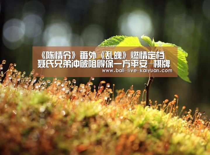 《陈情令》番外《乱魄》燃情定档 聂氏兄弟冲破阻碍保一方平安-